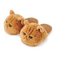 Pantofole per gattini Gattino kawaii