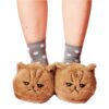 Kitten Slippers Kitten kawaii