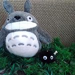 Kawaii Totoro Plushie