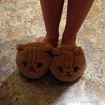 Kitten Slippers