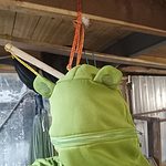 Kawaii Frog Hoodie