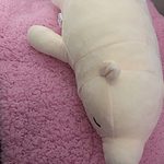 Dress Up Polar Bear Body Pillow