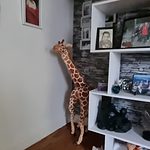 Cute Giraffe Plush