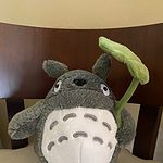 Kawaii Totoro Plushie