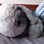 40CM Kawaii Floppy Bunny Plushie