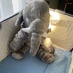 Cute Elephant Pillow Plush