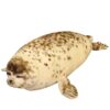 Cute Sea Lion Plush Toys Plush Toys kawaii