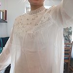 Elegant Lace Stand Collar Blouse