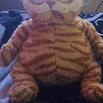 Cute Fat Cat Plush Toys