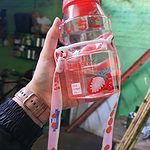 Cute Ins Fruit Water Bottle 480ml