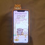 Cute 3D Cartoon Shiba Inu iPhone Case