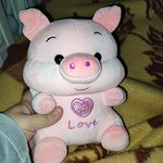 Cute Fat Angel Pig Plush Toys
