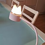 Kawaii Cats Ears Chargeable Table Lamp