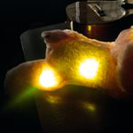 LED Glowing Dog Plush Toy