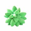 Cute Succulent Plants Plush Toys Creative kawaii