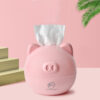 Kawaii Piggy Tissue Box Pig kawaii