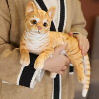 Schattige kattenpop knuffel Kattenknuffels kawaii