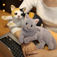 Brinquedo de pelúcia de boneca de gato fofo Brinquedos de pelúcia para gatos kawaii