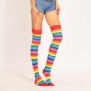 Rainbow Stripe Knee High Socks Knee Socks kawaii