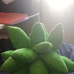 Cute Succulent Plants Plush Toys