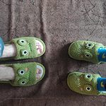 Frog Face Slippers