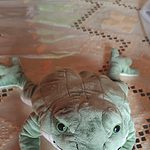 Realistic Kawaii Frog Plush Toy