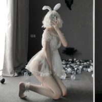 Sexy Dessous Bunny Cosplay Kleid und Unterwäsche Spitzen-Nachtwäsche kawaii