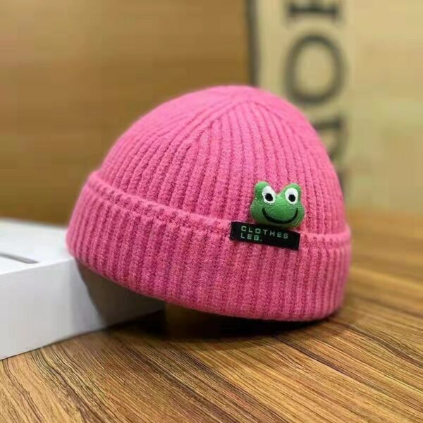Kawaii Cartoon Frog Knit Hat Frog kawaii